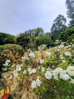 Villa Julia Marie - Villa familiale avec jardin - Saint-Valéry-en-Caux - 7
