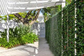 Family & Pet-Friendly Luxury Near Hastings St - 7