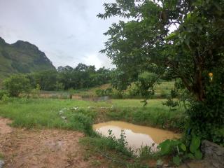 Amica Du Gia Trekking and Homestay - 5