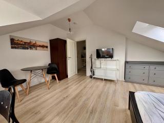 Modern möblierte Wohnung auf der Glacisstraße zwischen Neustadt, Elbwiesen - 6