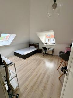 Modern möblierte Wohnung auf der Glacisstraße zwischen Neustadt, Elbwiesen - 5