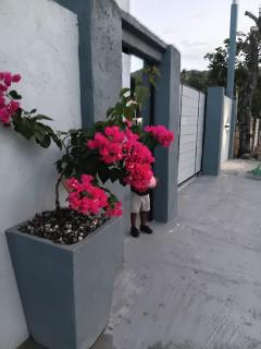 Coastal Villa Portland Jamaica - 1