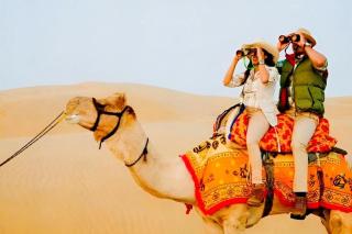 Jaisalmer Sand Dunes Resort - 2
