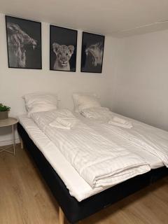 Charming Villa Apt In Copenhagen - 8