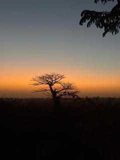 Mampuya Lodge Naturel au coeur de 49ha 1h30 de Dakar - 0