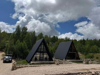Frogland - 0