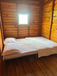 Orange Home - 0