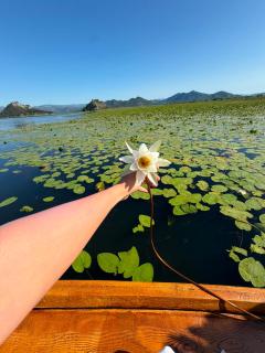Glamping Lake Escape - 7