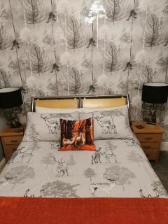 Dolweunydd Bed and Breakfast - 3