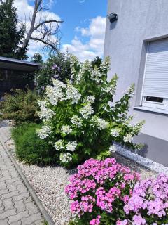 Eichbachgasse 38 - 8