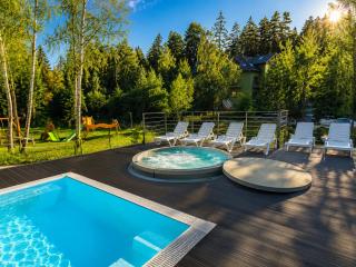 Apartament Ostoja Parku Kasprowicza- z Basenem , Jacuzzi i Sauną - 0