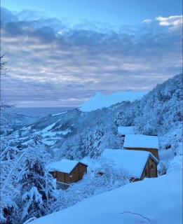 Appartement Chalet, 8 personnes - L'Oustal - 2