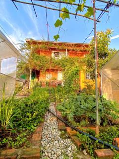 Orange Home - 4