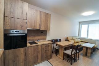 Cherkovna Residence Apartment plus GARAGE !!! - 7