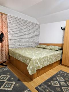 Casa Serban - 3