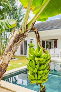 Villa luxe avec piscine Grand Baie - 6 personnes - 7