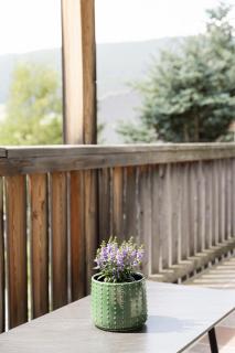 Alpen Chalet Forest - 2