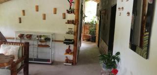 Hostal El Bambú - 2