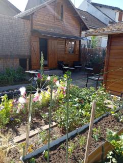 Cozy cottage Paris Suburb! - 9