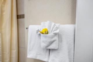 Adulo Apartments - Bridgetown - 4