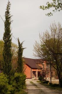 Iora Winery - 0
