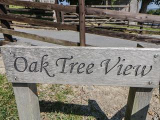 Oak Tree View - 9