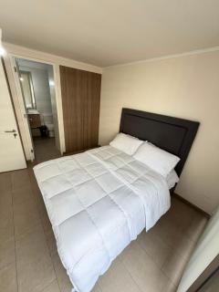 Hospédate con una vista de postal, en la comuna de Macul Este acogedor apartamento de1 Habitación 1 Baño con una laguna navegable - 2