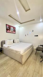 Leria Living luxury 2 bedroom wuye, Abuja - 7