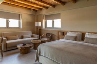 Pefkian Ethos Hotel & Suites - 3