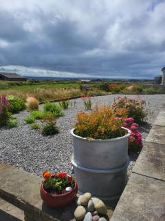 Rose Meadow Lodge - 8