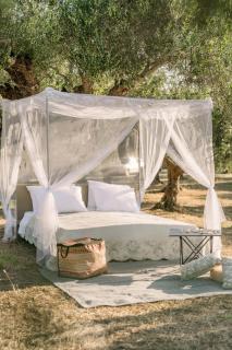 Star Sleep Elis Land Estate - Vasiliki - 6