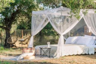 Star Sleep Elis Land Estate - Vasiliki - 2