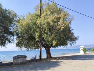 Ευρύχωρο και άνετο διαμέρισμα στην Ιτέα Joanna's Apartment - Kírra - 9