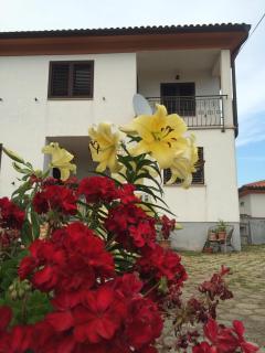 Apartments Bodi - Rovinj - 0