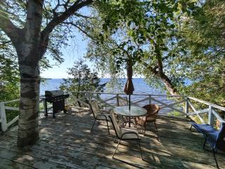 138 Eagle Simcoe Cottage private Beach, Kayak - 9