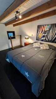 Loft entre Pucón y Villarrica - 2