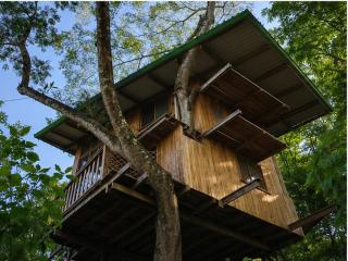 Luxury treehouse with Jacuzzi and nature - 6