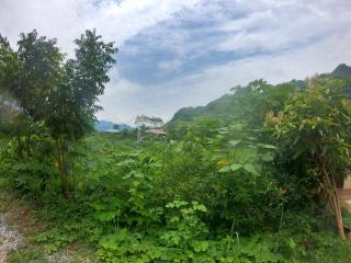 Amica Du Gia Trekking and Homestay - 1