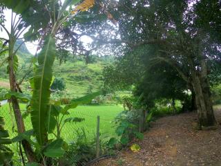 Amica Du Gia Trekking and Homestay - 1