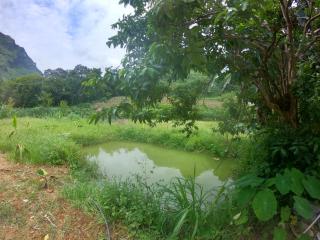 Amica Du Gia Trekking and Homestay - 2