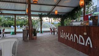 Finca campestre Wakanda - 9