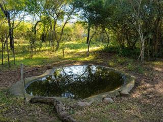 Ihlathi Lodge in Kuleni Game Park - 8
