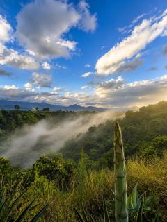 El Caney Experiences - 4