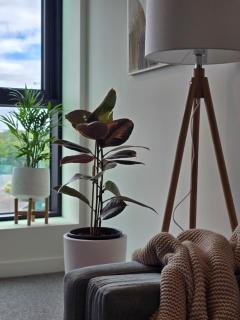 Modern 1BR with covered Balcony I Alphington I Fast WiFi I Free Parking I Walking to Alphington Train Station I Minutes to Melbourne CBD - 8