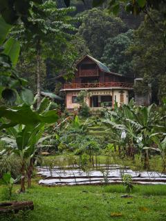 Bukit Lawang Batu Kapal Rimba House - 9