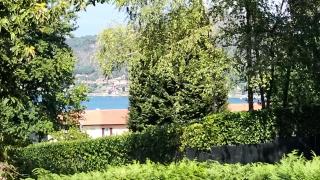 Appartamento la CAMELIA - scorci di Lago - 8