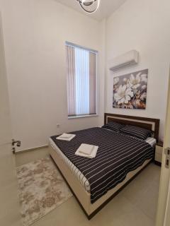Elena Apartments in Absolute Center - 8