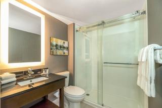 Comfort Inn Airport - 5