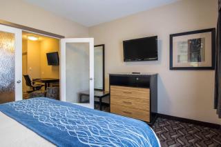 Comfort Inn & Suites - 3