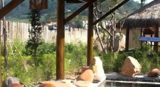 Longyan Capital International Hot Spring Resort - 8